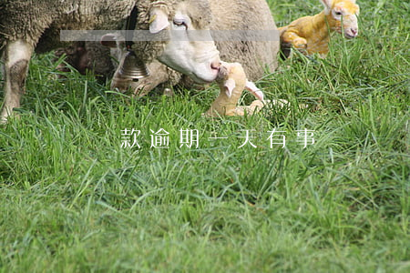 還款逾期一天有事嗎