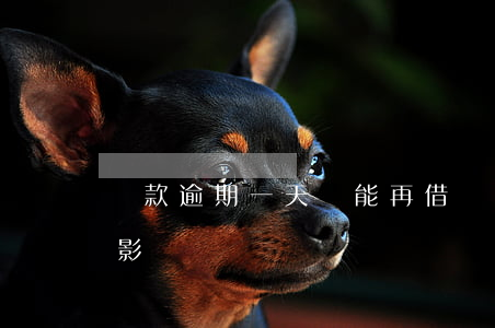 還款逾期一天還能再借嗎(還款逾期一兩天有影響嗎)