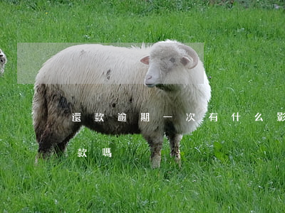 還款逾期一次有什么影響(逾期就要一次性還款嗎?)