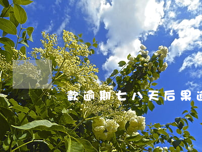 還款逾期七八天后果(逾期六天還款有事嗎)