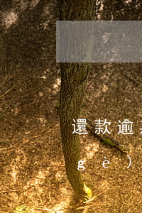 還款逾期三個(gè)月征信(征信有3個(gè)月逾期還能貸款嗎)