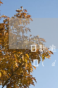 還款逾期三年擔(dān)保人還有(給別人擔(dān)保貸款逾期后還清)