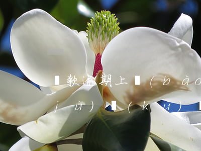 還款逾期上報(bào)數(shù)據(jù)庫(kù)會(huì)怎樣（信用卡逾期上報(bào)數(shù)據(jù)庫(kù)怎么辦理的）