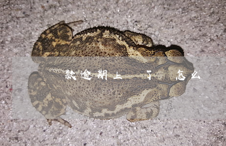 還款逾期上報了會怎么樣