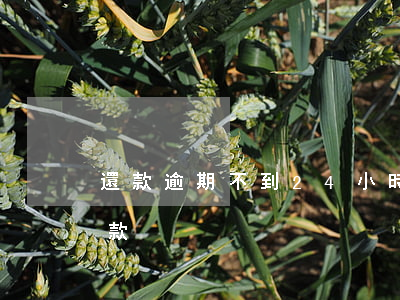 還款逾期不到24小時(晚一天還款算逾期還款)
