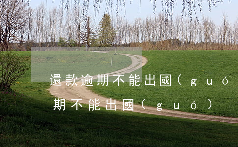 還款逾期不能出國(guó)怎么辦（還款逾期不能出國(guó)）