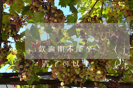 還款逾期不能坐飛機(jī)嗎(信用卡逾期還清了可以坐飛機(jī)嗎)
