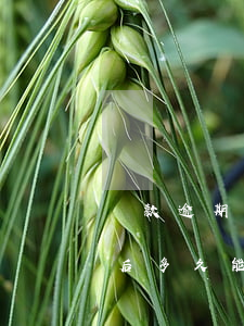 還款逾期之后多久上征信(征信上的逾期還款后多久能貸款)