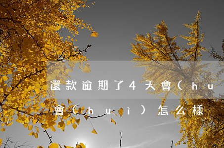 還款逾期了4天會(huì)怎樣(逾期四天會(huì)怎么樣)