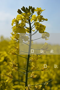 還款逾期了怎樣預(yù)防不被炸通訊錄-還款逾期了怎樣預(yù)防不被炸通訊錄呢
