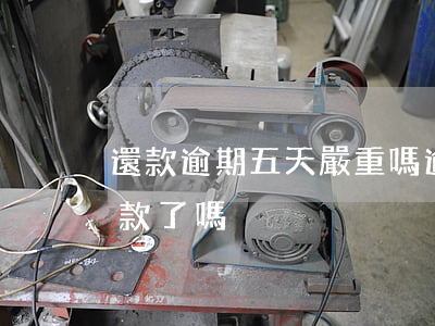 還款逾期五天嚴重嗎(逾期還款后五年就能貸款了嗎)