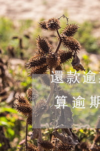 還款逾期什么時候再扣(最后還款日當天還款算逾期嗎)