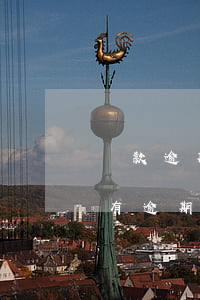 還款逾期但是顯示沒有逾期記錄(按時還款卻有逾期記錄)
