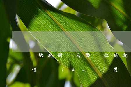 還款逾期兩天影響征信（逾期兩年之后還錢征信還會(huì)黑嗎）