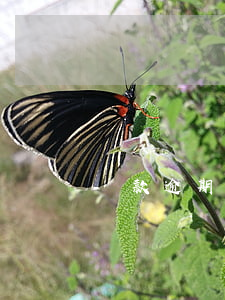 還款逾期兩天要緊嗎(還款逾期了3 天會怎樣)