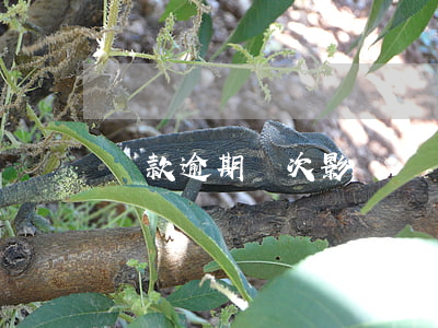 還款逾期兩次影響嗎