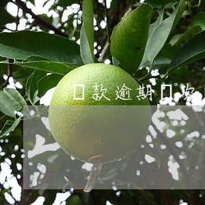 還款逾期兩次會怎樣(還款逾期兩次會怎樣)