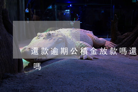 還款逾期公積金放款嗎(還款逾期公積金放款嗎)