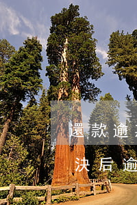 還款逾期利息法院如何計(jì)算(法院判決后逾期還款利息怎么算例)