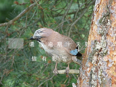 還款逾期十天對(duì)個(gè)人征信有影響嗎-還款逾期十天對(duì)個(gè)人征信有影響嗎知乎