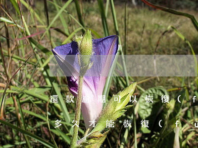 還款逾期可以恢復(fù)嗎(逾期后還清了多久才能恢復(fù)使用)