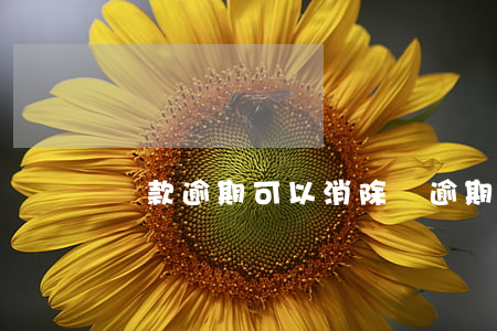 還款逾期可以消除嗎(逾期能消除嗎)