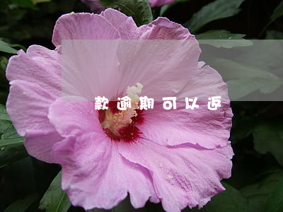 還款逾期可以返還嗎(還款逾期可以返還嗎)