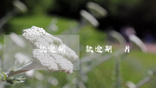 還款逾期圖，還款逾期圖片