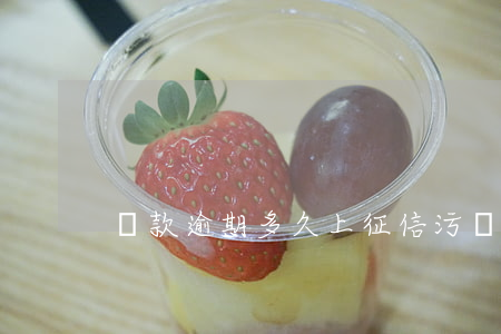 還款逾期多久上征信污點