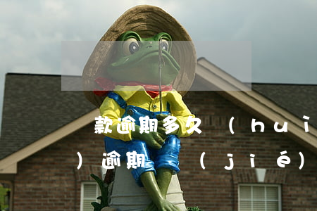 還款逾期多久會(huì)被凍結(jié)(逾期凍結(jié)了還完可以繼續(xù)使用嗎)