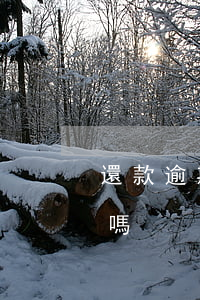 還款逾期多久能起訴(還款期限過了還能起訴嗎)