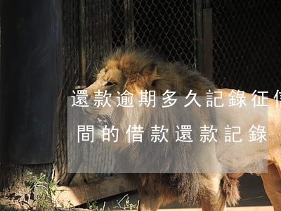 還款逾期多久記錄征信(征信報告記錄多長時間的借款還款記錄)