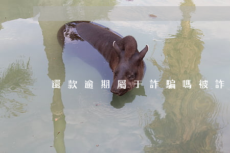 還款逾期屬于詐騙嗎(被詐騙還要還款嗎)