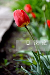 還款逾期屬于違法嗎