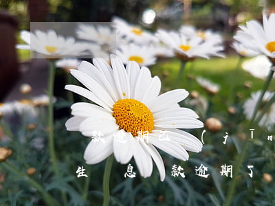還款逾期已經(jīng)產(chǎn)生罰息(貸款逾期了罰息有沒有規(guī)定)