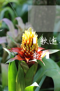 還款逾期幾次不能貸款(征信逾期三次還能貸款嗎)