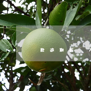 還款逾期影響入伍嗎(貸款逾期影響當兵嗎)
