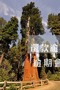 還款逾期影響房貸辦理嗎(還房貸期間信用卡逾期會影響嗎)