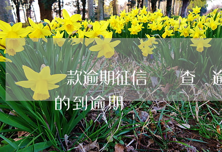還款逾期征信記錄查詢(逾期還款了征信還查的到逾期嗎)