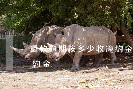 還款逾期按多少收違約金(逾期按多少收取違約金)