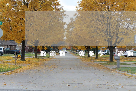 還款逾期損失多少錢(逾期付款損失)
