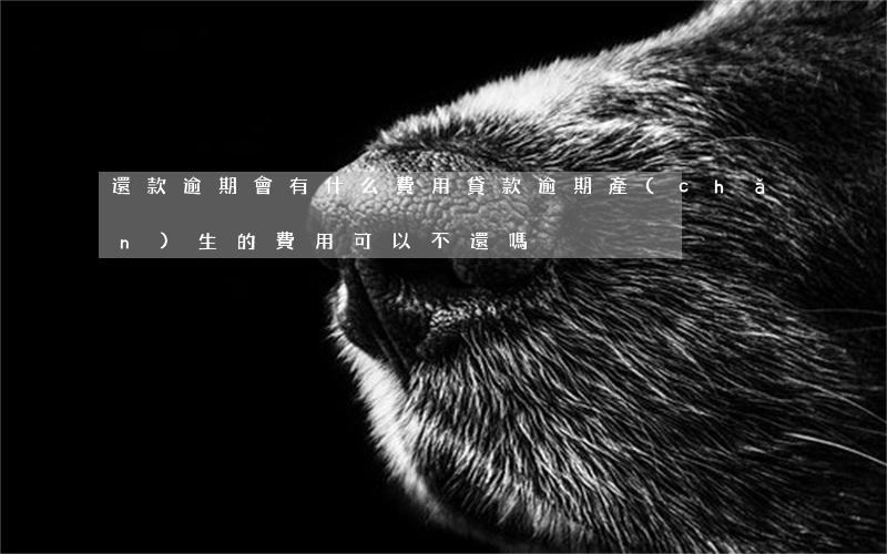 還款逾期會有什么費用(貸款逾期產(chǎn)生的費用可以不還嗎)