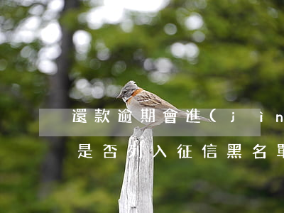 還款逾期會進(jìn)黑名單么(逾期還款是否列入征信黑名單)