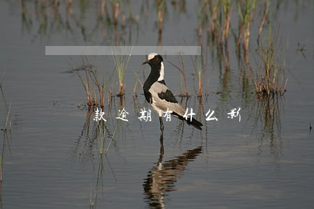 還款逾期有什么影響(還貸逾期會有什么后果)
