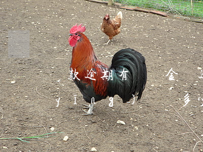 還款逾期有違約金嗎(逾期未還款違約金應(yīng)該寫多少合適?)