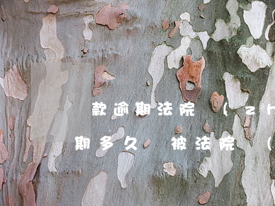還款逾期法院執(zhí)行需要多久-逾期多久會被法院執(zhí)行