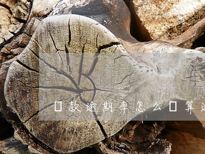 還款逾期率怎么計算(逾期貸款率計算公式)