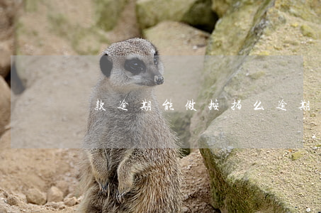 還款逾期能做按揭么(逾期還款后還能貸款嗎)