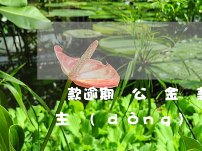 還款逾期與公積金貸款(公積金房貸逾期怎么主動(dòng)還款)