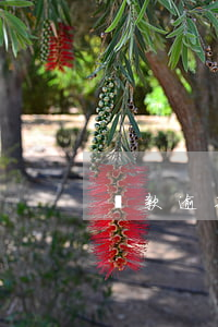 還款逾期被告會怎樣(欠款逾期被起訴后果)